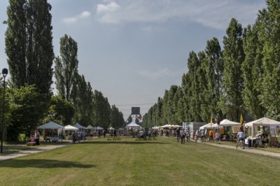La Festa